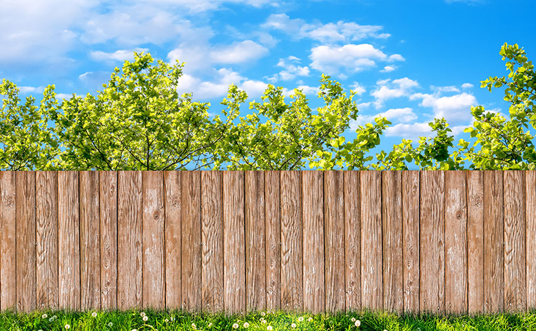 How to Determine Which Fence Is Best for Your Home